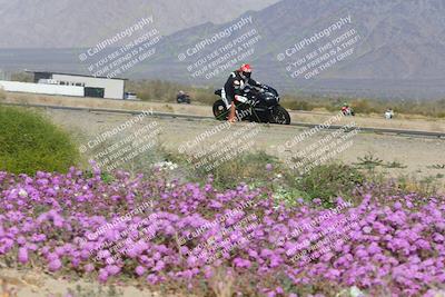 media/Feb-04-2023-SoCal Trackdays (Sat) [[8a776bf2c3]]/Turn 15 Inside Blooming (1050am)/